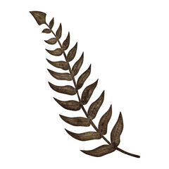 Watercolor autumn fern leaf. Autumn fern leaf isolated on white background.
