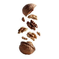 Deconstructed Walnut: Witness the elegance of deconstructed walnut, with its shell and kernel elements suspended in mid-air. It embodies a delicate equilibrium between nature and form.