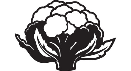 Illustration of a stylized cabbage vegetable botanical graphic.
