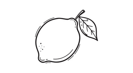 Sketch of a lemon with leaf in black line drawing style.