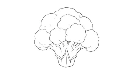 Illustration of fresh broccoli florets on a white background for culinary and food display.