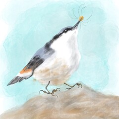 blue bird with an insect 