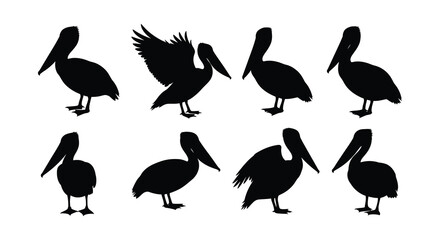 Silhouettes of pelicans in various poses a monochromatic wildlife illustration