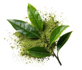 Fresh green tea leaves and powder on black background (1)