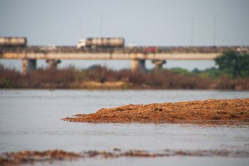River bank (river name Paalaru, translation milky river) in tamil nadu near chennai flowing under a...