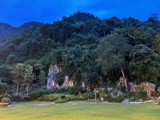 tropical garden in thailand