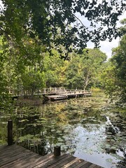 Obraz premium wooden bridge over the lake