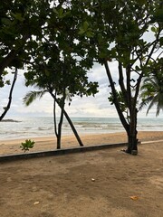 tropical beach in thailand