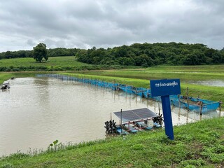 landscape with a lake