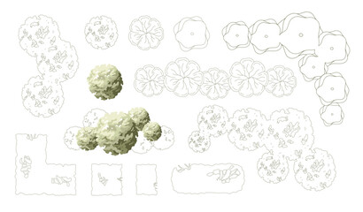 Top view trees for architectural plans and landscape design. Minimal vector illustration for urban planning, site plans, and architectural entourage.