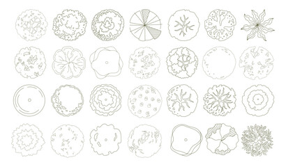Top view trees for architectural plans and landscape design. Minimal vector illustration for urban planning, site plans, and architectural entourage.