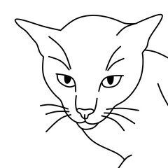 Elegant contours forming calm cat