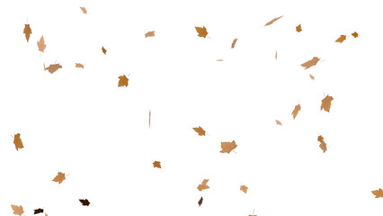 3D Render a bunch of leaves flying in the air