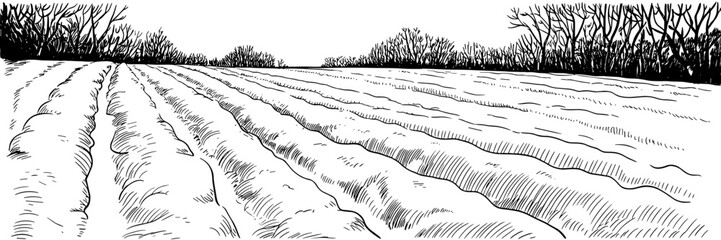 Black and white illustration showing rows of freshly tilled crops in a field, with leafless trees lining the distant horizon.