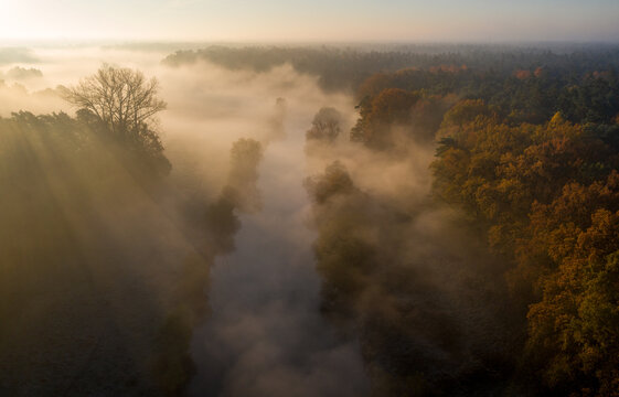 Die Aller bei Celle an einem nebligen Herbstmorgen