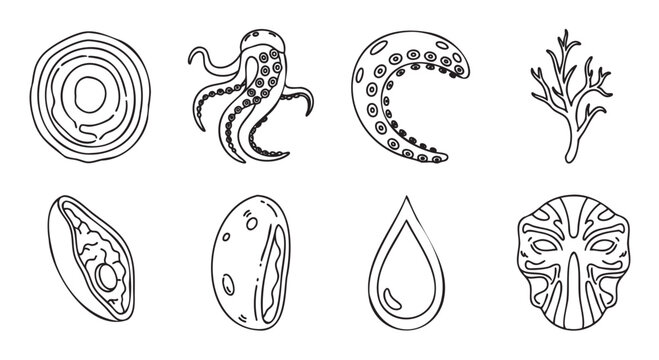 Set of minimalist line art illustrations with various natural and symbolic elements like an octopus, water drop, and ornate mask, drawn in a simple black and white doodle style