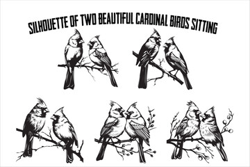 Cardinal Bird Couple on Branch – Vintage Vector Illustration