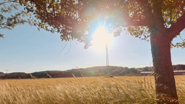 German Countryside