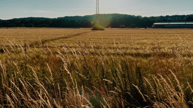 German Countryside