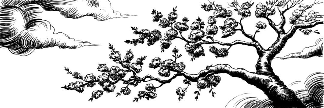 A flowering tree branch with textured clouds, ideal for nature art, botanical design, or traditional print motifs.