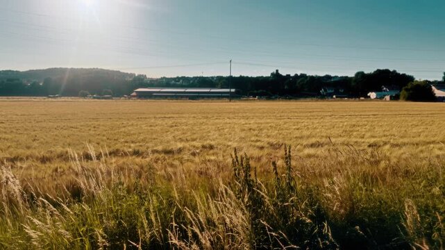 German Farm