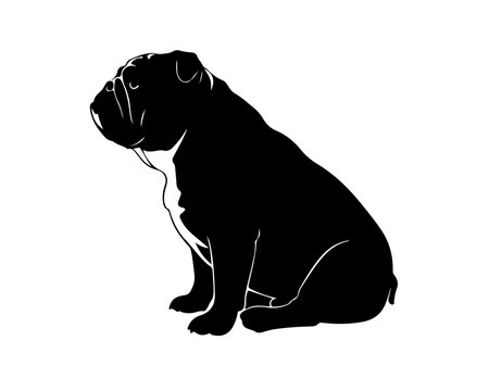 Vector silhouette of a bulldog sitting, clean black outline on white. This minimal illustration highlights the dog's robust profile, suitable for pet-themed graphic design and digital art projects