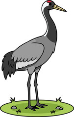 Cute Black-Necked Crane Standing On Grass, Tibetan Bird Animal Character Clipart Isolated On Transparent Background