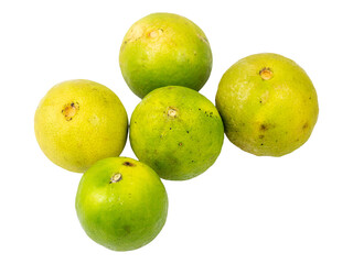 Fresh green lemon on a white background, highlighting healthy, sweet, and delicious fruit for a vegetarian diet