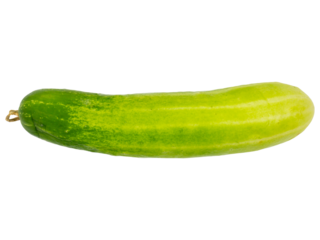 Fresh green cucumber isolated on white background, a healthy raw vegetable food ingredient