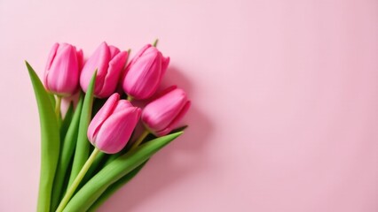 A bunch of pink tulips sit on a pink surface