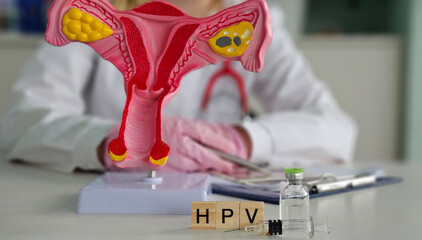 Understanding HPV and its impact on the reproductive system through educational models and resources concept