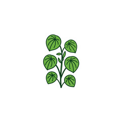Obraz premium Minimalist vector line art of a houseplant stem with round, veined leaves. An isolated green foliage icon for botanical design