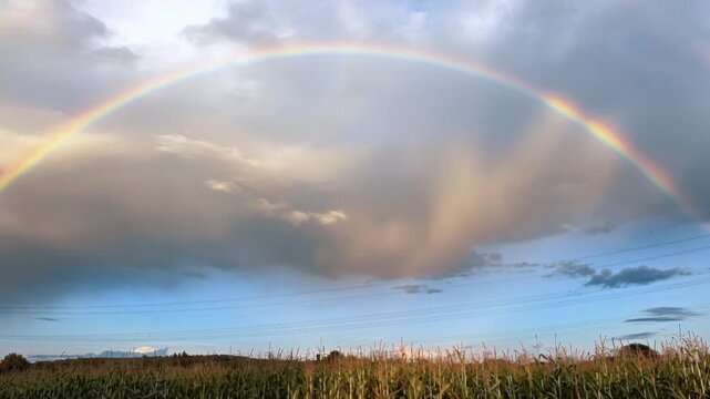 Rainbow in the Sky