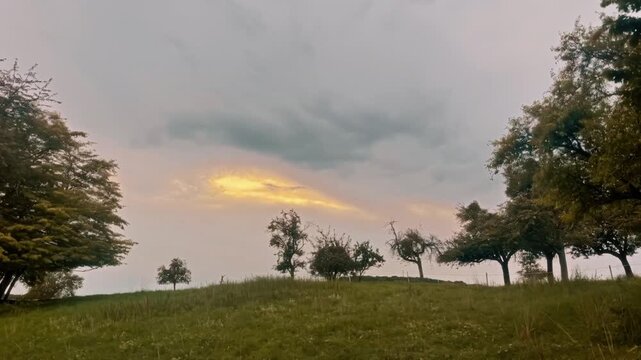 Beautiful Nature