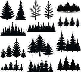 Fototapeta premium Pine and spruce tree silhouettes forest nature design elements