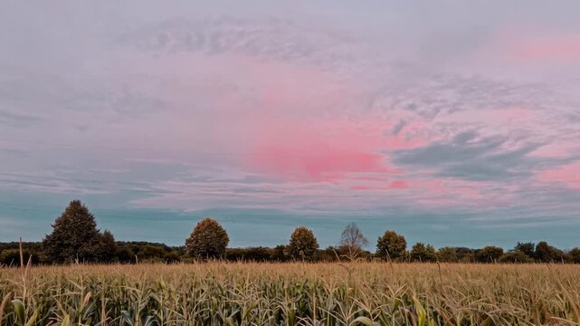 Beautiful Sunset