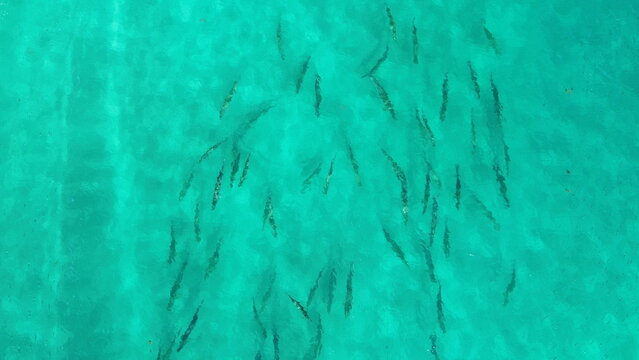 DCIM\100MEDIA\DJI_0200.JPG