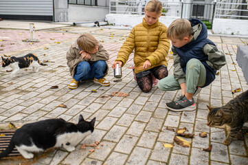 Children feeding stray cats outdoors, sharing food with homeless animals in a warm and candid...