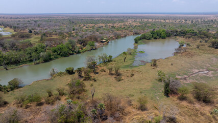 Close-up portrait of a giraffe in a wildlife sanctuary, highlighting its gentle expression and natural habitat.