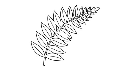 Black and White Line Drawing of a Fern Leaf plant nature