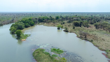 Close-up portrait of a giraffe in a wildlife sanctuary, highlighting its gentle expression and natural habitat.