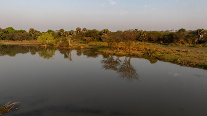 Close-up portrait of a giraffe in a wildlife sanctuary, highlighting its gentle expression and natural habitat.