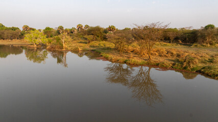 Close-up portrait of a giraffe in a wildlife sanctuary, highlighting its gentle expression and natural habitat.