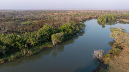 Close-up portrait of a giraffe in a wildlife sanctuary, highlighting its gentle expression and natural habitat.