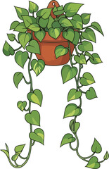 verdant cascade green vines unfurling, a symbol of indoor serenity, isolated on transparent background