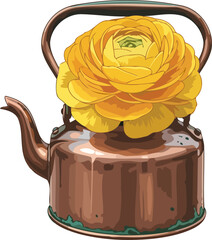 vintage brew of beauty golden ranunculus unfurling from an antique copper teapot, isolated on transparent background