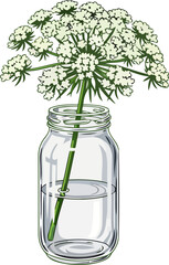 wildflowers echo simplicity captured in a moment of graceful serenity, isolated on transparent background