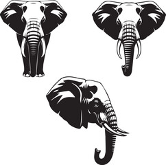 Four elephant heads in multiple views black silhouette isolated on white background