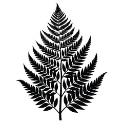 fern leaf black and white silhouette on white background