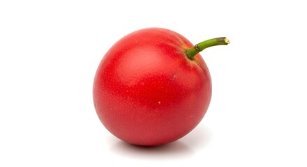 Single bright red holly berry with a small stem isolated on white background